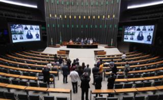 Homenagem ao Dia Mundial do Meio Ambiente.