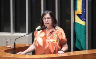 Homenagem ao Dia Mundial do Meio Ambiente. Diretora Executiva do Instituto Socioambiental, Adriana Ramos.