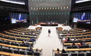 Homenagem ao Dia Mundial do Meio Ambiente.