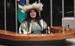 Homenagem ao Dia Mundial do Meio Ambiente. Dep. Sônia Guajajara (PSOL-SP)