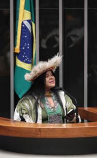 Homenagem ao Dia Mundial do Meio Ambiente. Dep. Sônia Guajajara (PSOL-SP)