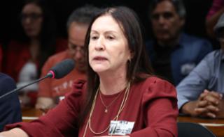 Audiência Pública - Lei da garantia dos direitos (PL 3015/25). Participante, Denise Rodrigues.