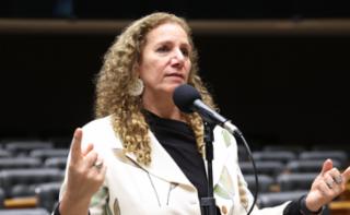Discussão e votação de propostas legislativas. Dep. Jandira Feghali (PCdoB - RJ)