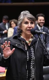 Discussão e votação de propostas legislativas. Dep.  Erika Kokay (PT - DF)