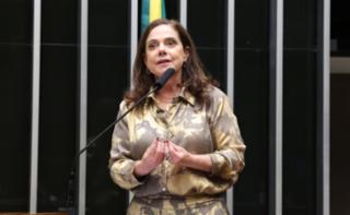 Discussão e votação de propostas legislativas. Dep. Soraya Santos (PL - RJ)