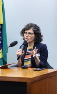 Seminário - Reurbanização das Favelas: desenvolvimento social, conectividade, inclusão digital e trabalho. Conselheira Técnica - ONU-Habitat, Vanessa de Freitas.