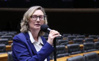 Discussão e votação de propostas legislativas. Dep. Maria do Rosário (PT - RS)