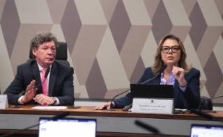 Apreciação de relatório. Dep. Reginaldo Lopes (PT - MG). Senadora, Leila Barros (PDT - DF)