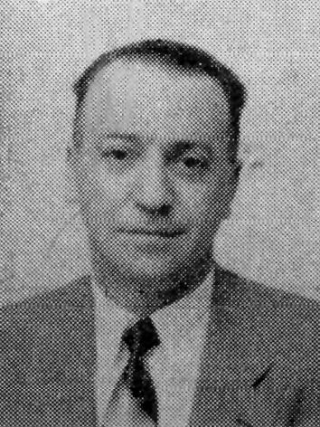 Foto de perfil do deputado IRIS MEINBERG