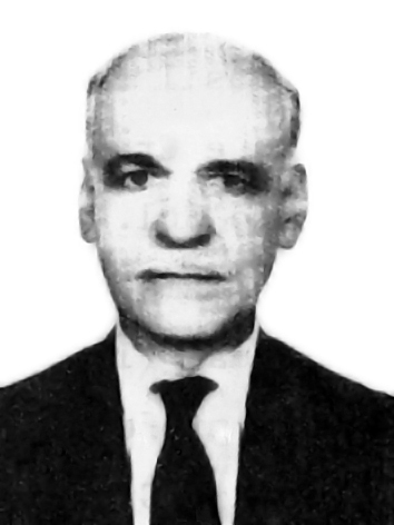 Foto de perfil do deputado FLÔRES SOARES