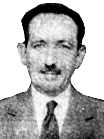 Foto de perfil do deputado PLÍNIO SALGADO