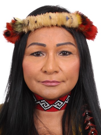 Foto do(a) deputado(a) Silvia Waiãpi