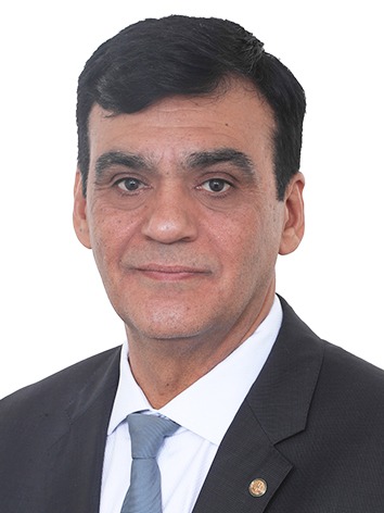 Foto do(a) deputado(a) Naumi Amorim