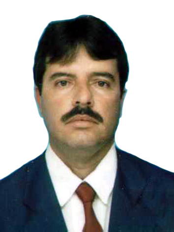 Foto do(a) deputado(a) ADELSON RIBEIRO