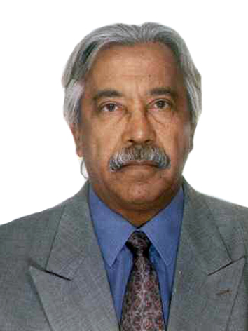 Foto de perfil do deputado ZÉ ÍNDIO