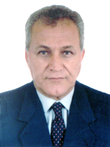 Foto de perfil do deputado THEODORICO FERRAÇO