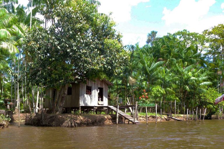 Habitação - casas - ribeirinhos Amazônia barracos palafitas