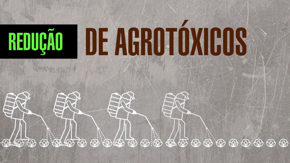Agrotóxicos ou Pesticidas?