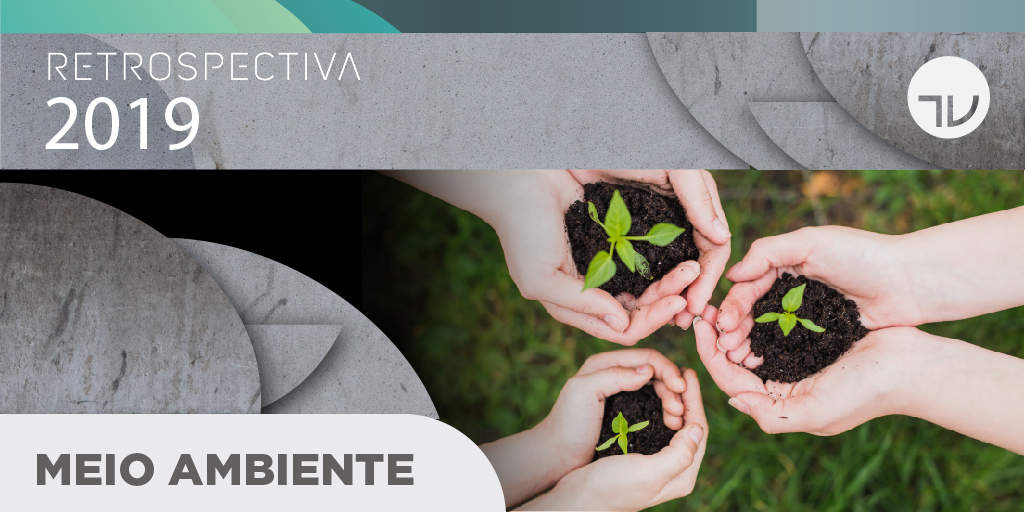 Retrospectiva 2019 - Meio Ambiente