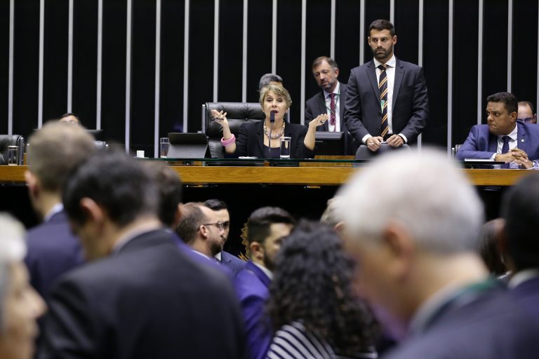 Ordem do dia para discussão e votação de diversos projetos. Dep. Erika Kokay (PT - DF)