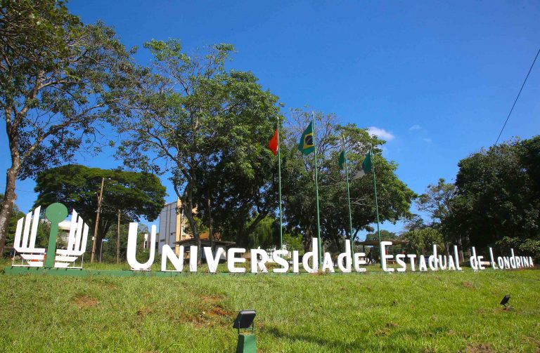 texto alternativo não fornecido