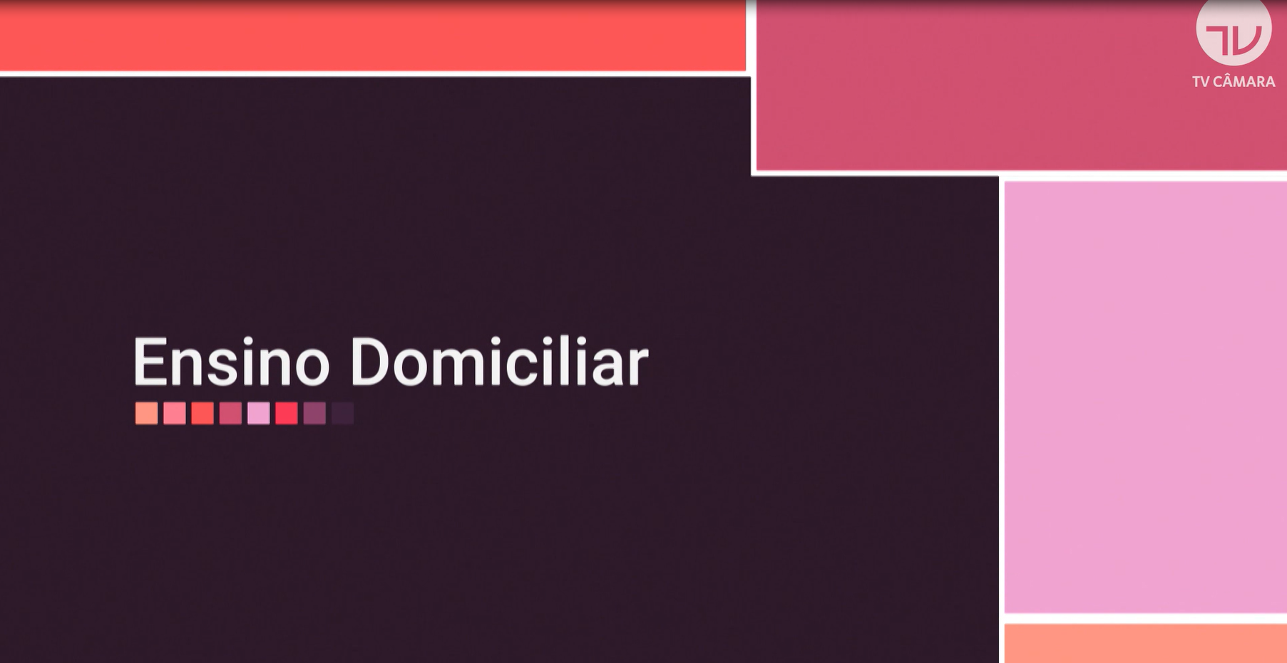 Teorias do Saber | Ensino Domiciliar - Episódio 5