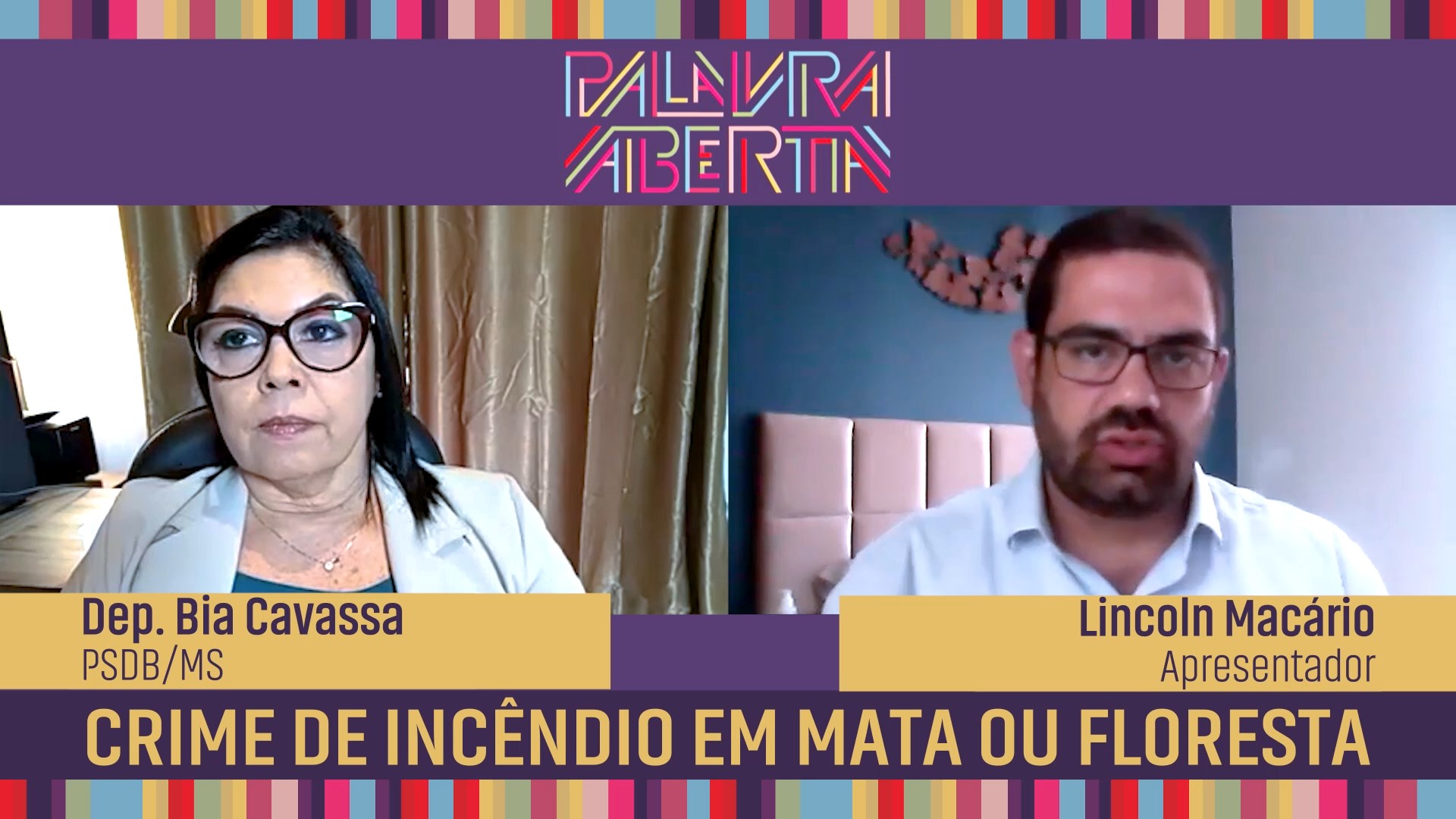 Crime de incêndio em mata ou floresta