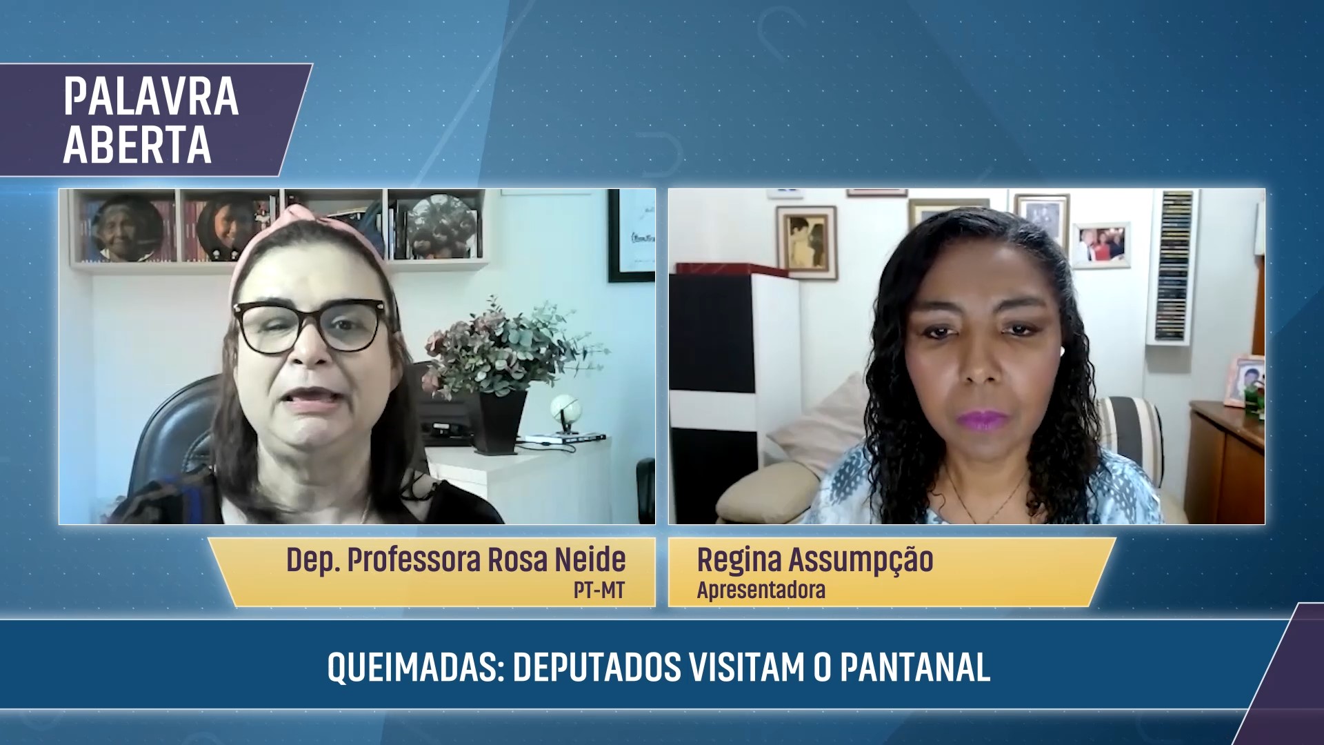 Queimadas: Deputados visitam o Pantanal