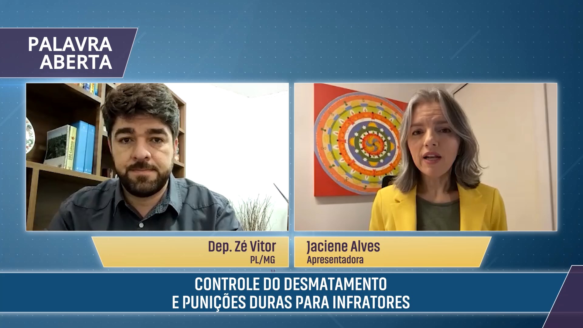 Controle do desmatamento e punições duras para infratores