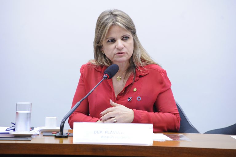 Audiência Pública - Tema: "Centenário da OIT: Avaliação de resultados da 108ª Conferência". Dep. Flávia Morais (PDT-GO)