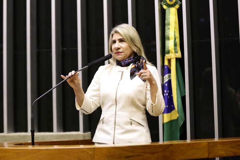 Deputada Edna Henrique discursa no Plenário da Câmara