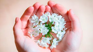 Luto gestacional (REPRISE)