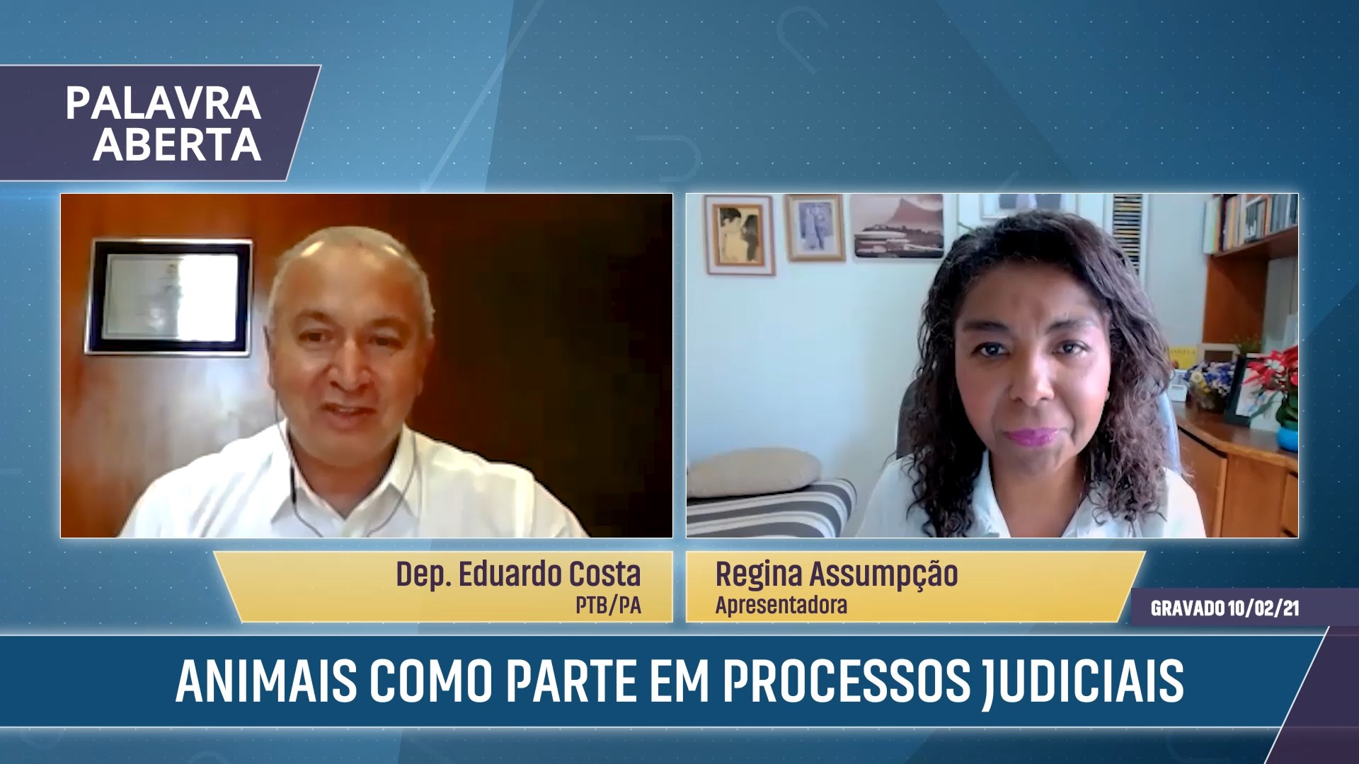 Animais como parte em processos judiciais
