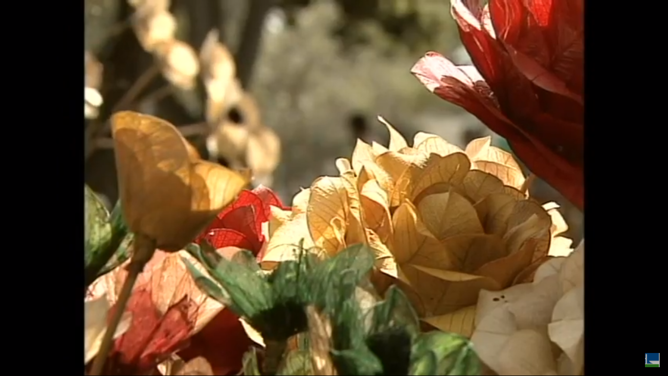 Artesanato do Cerrado