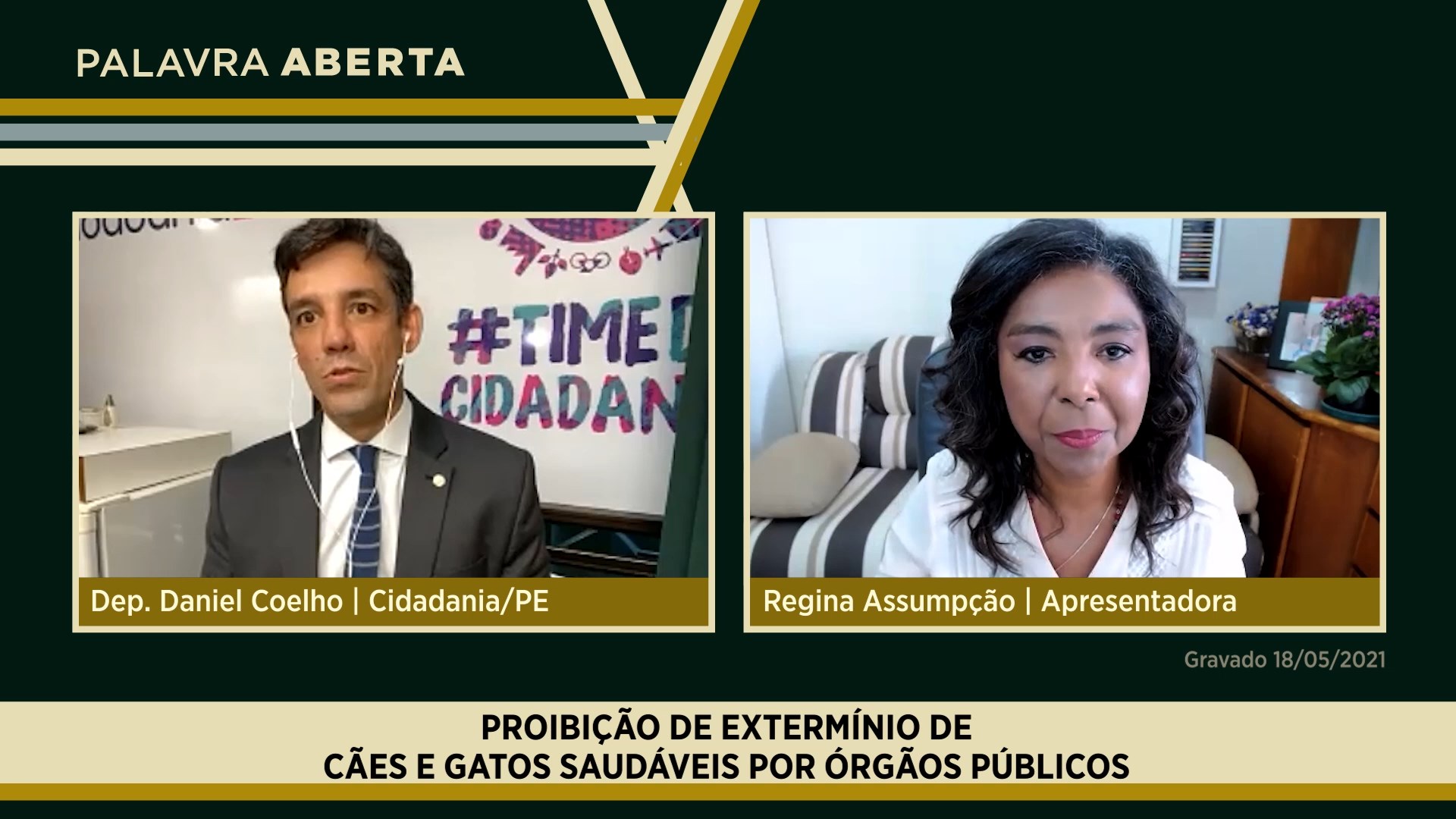 Proibição de extermínio de cães e gatos saudáveis por órgãos públicos