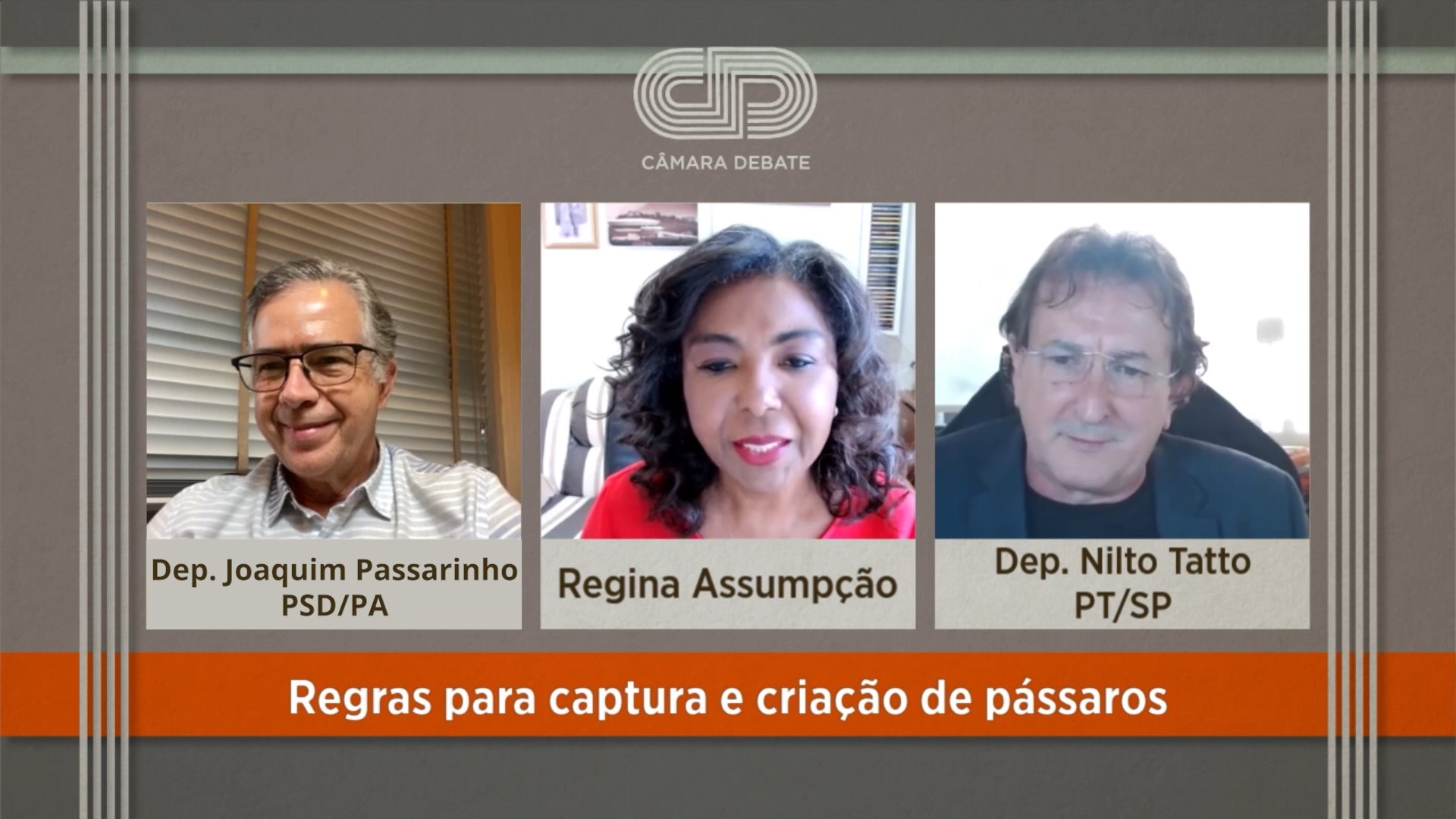 Regras para captura e criação de pássaros