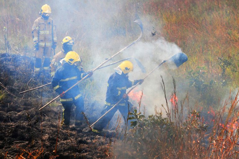 Bombeiros combatem fogo no cerrado