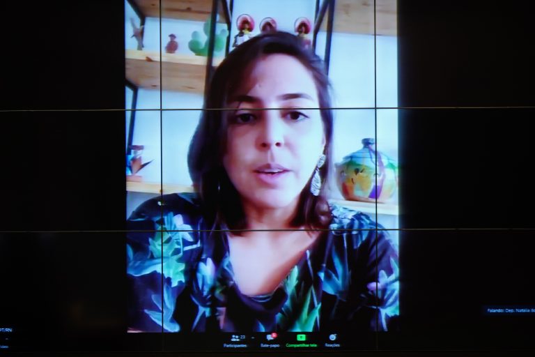 Instalação e Eleição do Presidente e Vice-Presidentes da Comissão. Dep. Natália Bonavides (PT - RN)