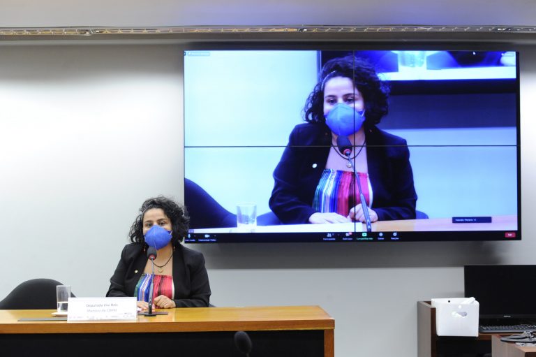 Audiência Pública - Combate à LGBTfobia. Dep. Vivi Reis(PSOL - PA)