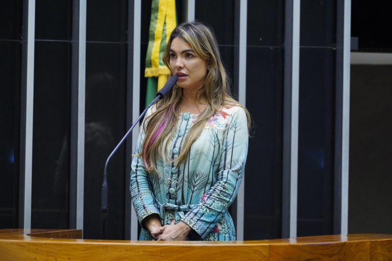 Discussão e votação de propostas. Dep. Paula BelmonteCIDADANIA - DF