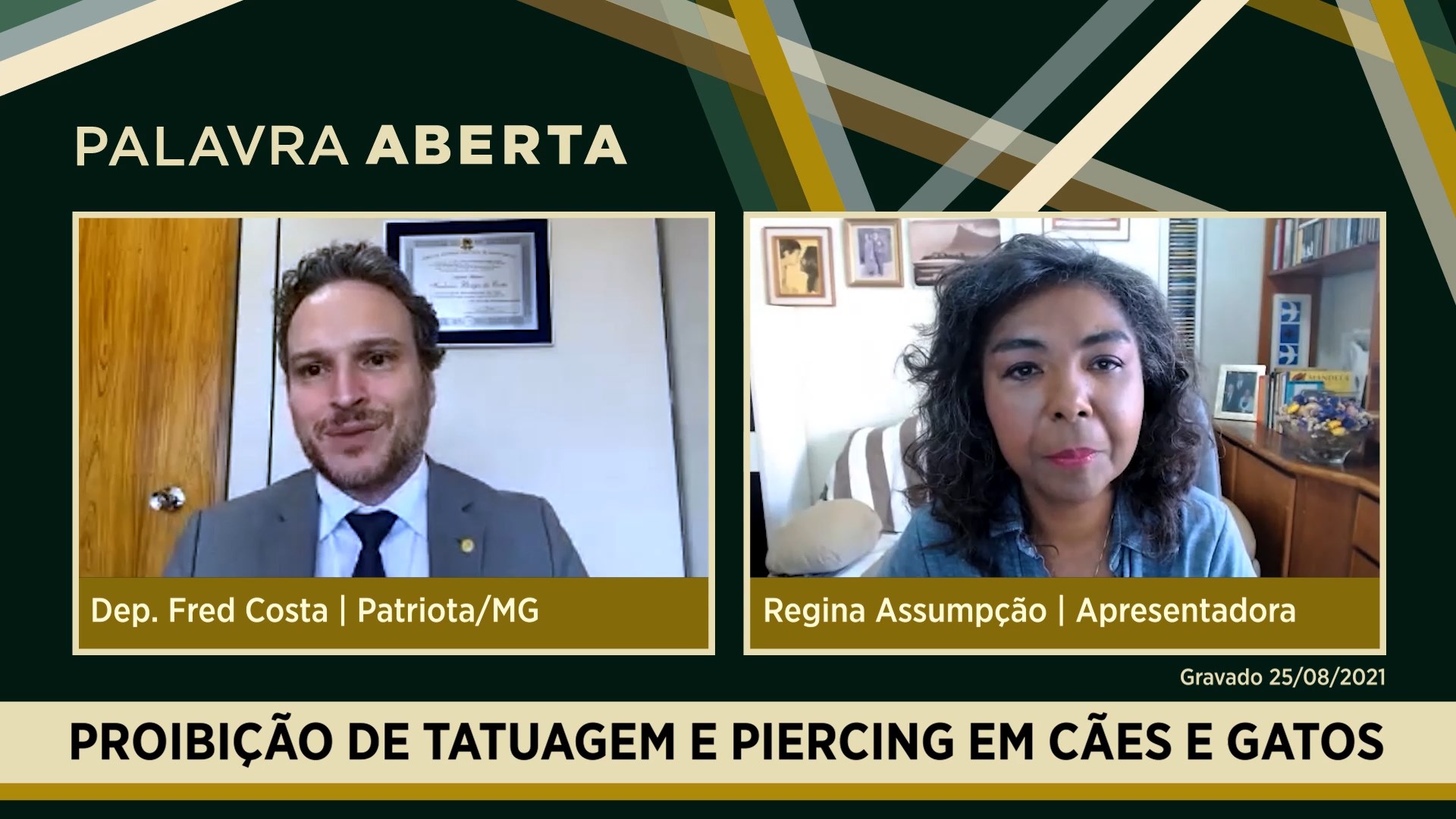 Proibição de tatuagem e piercing em cães e gatos