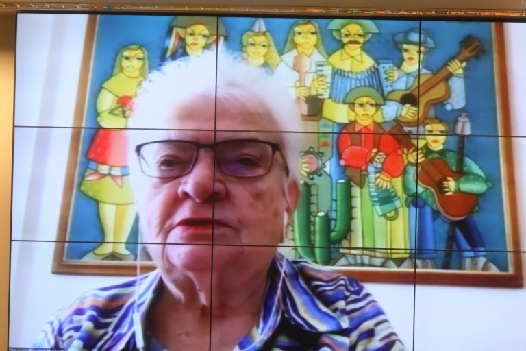 Audiência Pública - Política Nacional da População em Situação de Rua. Dep. Luiza ErundinaPSOL - SP