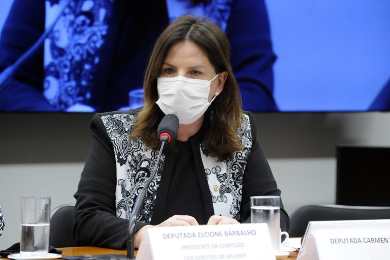 Lançamento do livro “ Declaração dos Direitos da Mulher e da Cidadã e outros textos”. Dep. Carmen ZanottoCIDADANIA - SC