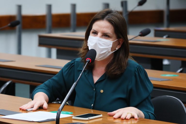 Deputada Carmen Zanotto (CIDADANIA-SC)