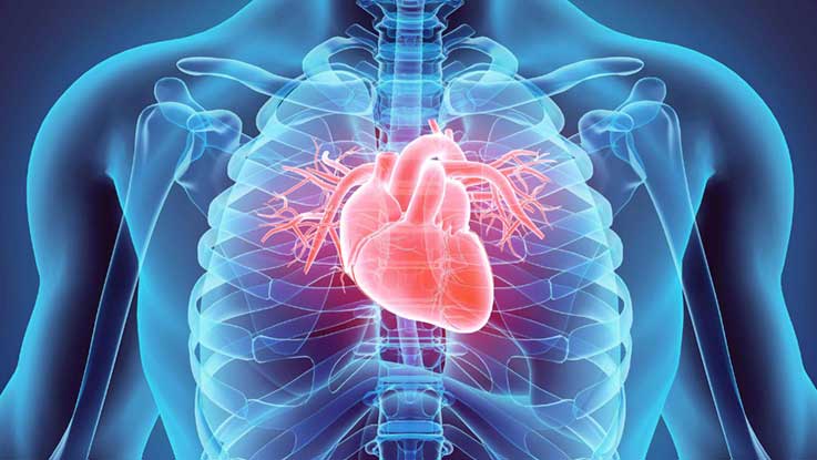 Obesidade e problemas cardiovasculares