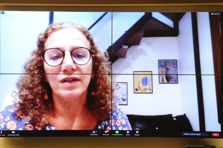 Audiência Pública - Conscientização sobre Doenças Valvares Cardíacas. Dep. Jandira Feghali PCdoB - RJ