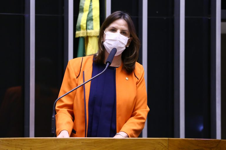 Deputada Carmen Zanotto discursa no Plenário da Câmara. 