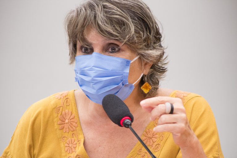 Comissão De Legislação Participativa (CLP). Dep. Erika Kokay PT-DF