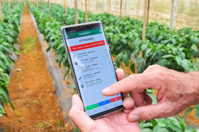 Agropecuária - plantações - tecnologia campo agricultura precisão celular aplicativo colheitas produção agrícola agricultores (aplicativo DF Rural, da Emater-DF)