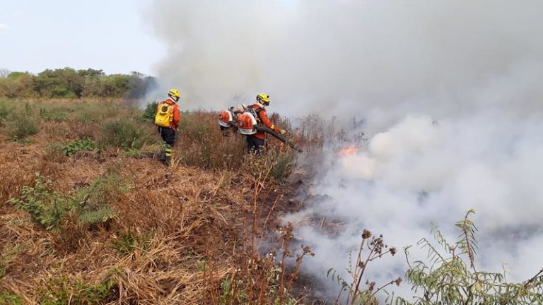 Meio Ambiente - queimada e desmatamento - Após 16 dias atuando no combate aos incêndios florestais na região do Pantanal, no Mato Grosso do Sul (MS), cinquenta bombeiros militares retornaram ao Distrito Federal na madrugada deste domingo (25/10)